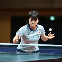 東京で卓球仲間を大募集！🏓✨ - 千代田区
