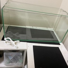GEX45センチ　スリム水槽