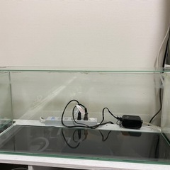 GEX 60センチスリム水槽