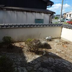 ジャングル庭の草刈り植木徹去、福岡便利屋