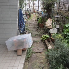 お庭の雑草対策〜固まる土とセメント打設