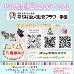 保護猫ちゃんとのお見合い会です。