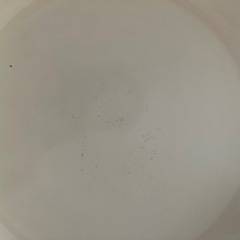 IH対応フライパンとハンドルセットの画像