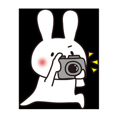 写真の撮り方を教えてください