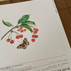 こどものとも年少版12冊セットの画像