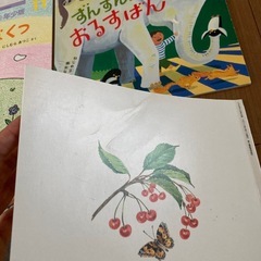 こどものとも年少版12冊セットの画像