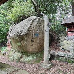 ※筋トレ・ヨガ・登山・トレーニングから