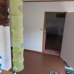 入れ物