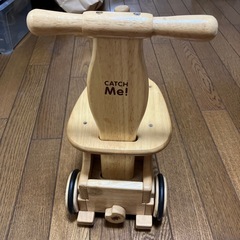 木　ポッポちゃんの画像