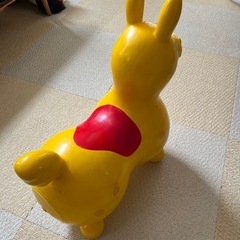 ロディ　イエローの画像