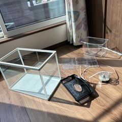 金魚の水槽