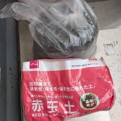植木鉢セット 9/30までの画像