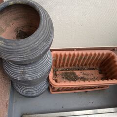 植木鉢セット 9/30までの画像