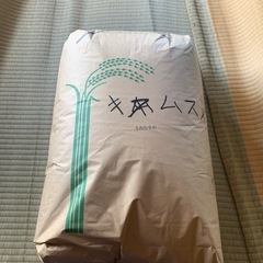 令和6年  新米 島根県産 きぬむすめ 玄米  30kg