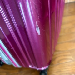 BEATAS  キャリーケース　Mサイズの画像