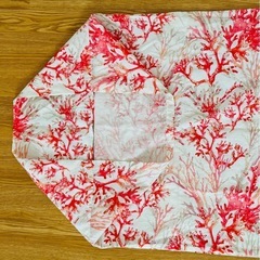 値下げ‼️【ZARA HOME】サンゴ柄🪸ピロケースの画像