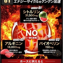 MAGNOS(マグノス)　男性用エナジーサプリ    の画像