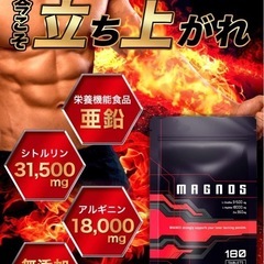 MAGNOS(マグノス)　男性用エナジーサプリ    の画像