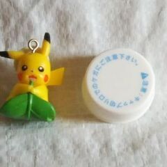 葉っぱに乗ってるピカチュー（劇場版ポケットモンスターココ  入場...