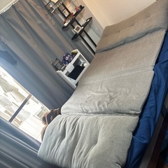 ソファベッドの画像