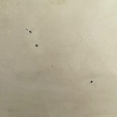 お値下げ❣️ガーデンテーブルセットの画像