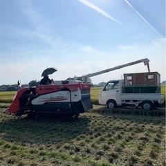 取引中21令和6年度産 『コシヒカリ』　玄米　30kgの画像