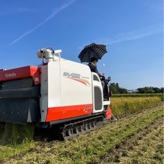 取引中21令和6年度産 『コシヒカリ』　玄米　30kgの画像