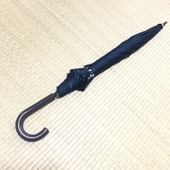 日傘(濃い色)