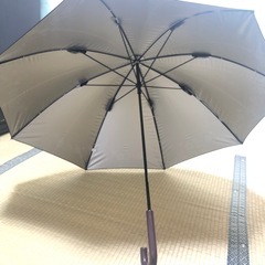 日傘(濃い色)の画像