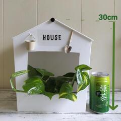 🌱用途色々/HOUSEボックス🌱/植物の画像