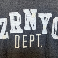 ZANEROBE ロンT メンズの画像