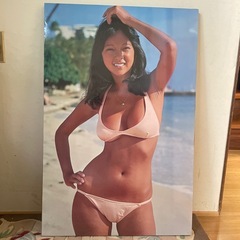 アグネスラム パネルポスター