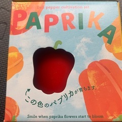 ミニパプリカ栽培セット✨の画像
