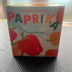 ミニパプリカ栽培セット✨