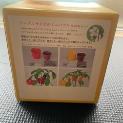 ミニパプリカ栽培セット✨の画像