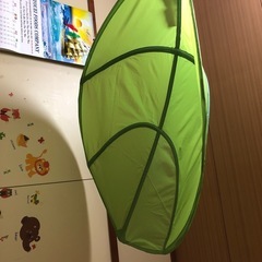 大きい葉っぱ