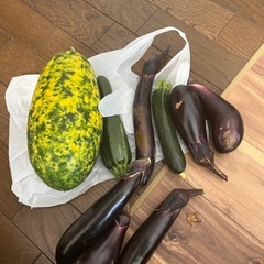 スイカ　きゅうり　なす