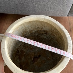 観葉植物　鉢　の画像