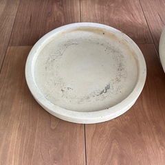 観葉植物　鉢　の画像