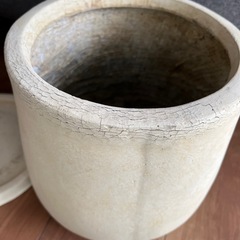 観葉植物　鉢　の画像