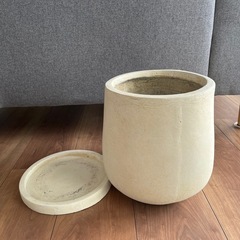 観葉植物　鉢　の画像