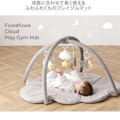 プレイジム　美品