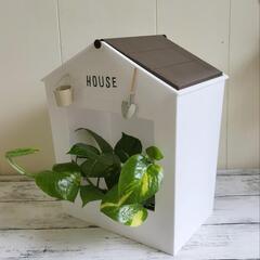 🌱用途色々/HOUSEボックス🌱/植物の画像