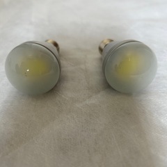 LED電球エバーレッズの画像