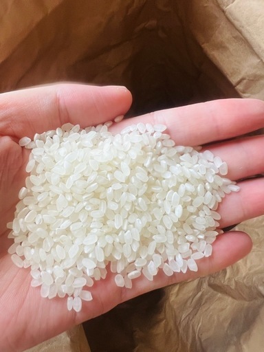 令和6年度米 新米　きぬむすめ米　白米27キロ　11800円