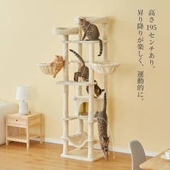 【中古美品】キャットタワーの画像