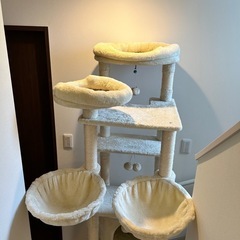 【中古美品】キャットタワーの画像