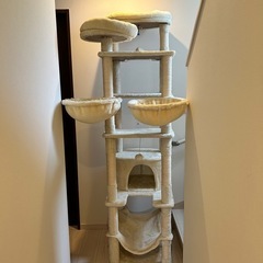 【中古美品】キャットタワーの画像