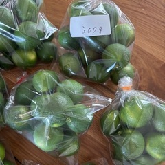 無農薬のスダチ １袋100円 何袋からでも
