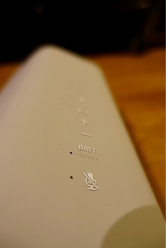 SONY SRS XE300